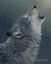 ftp://timberwolfsigns.com/www/htdocs/images/Timberwolf_howl.jpg