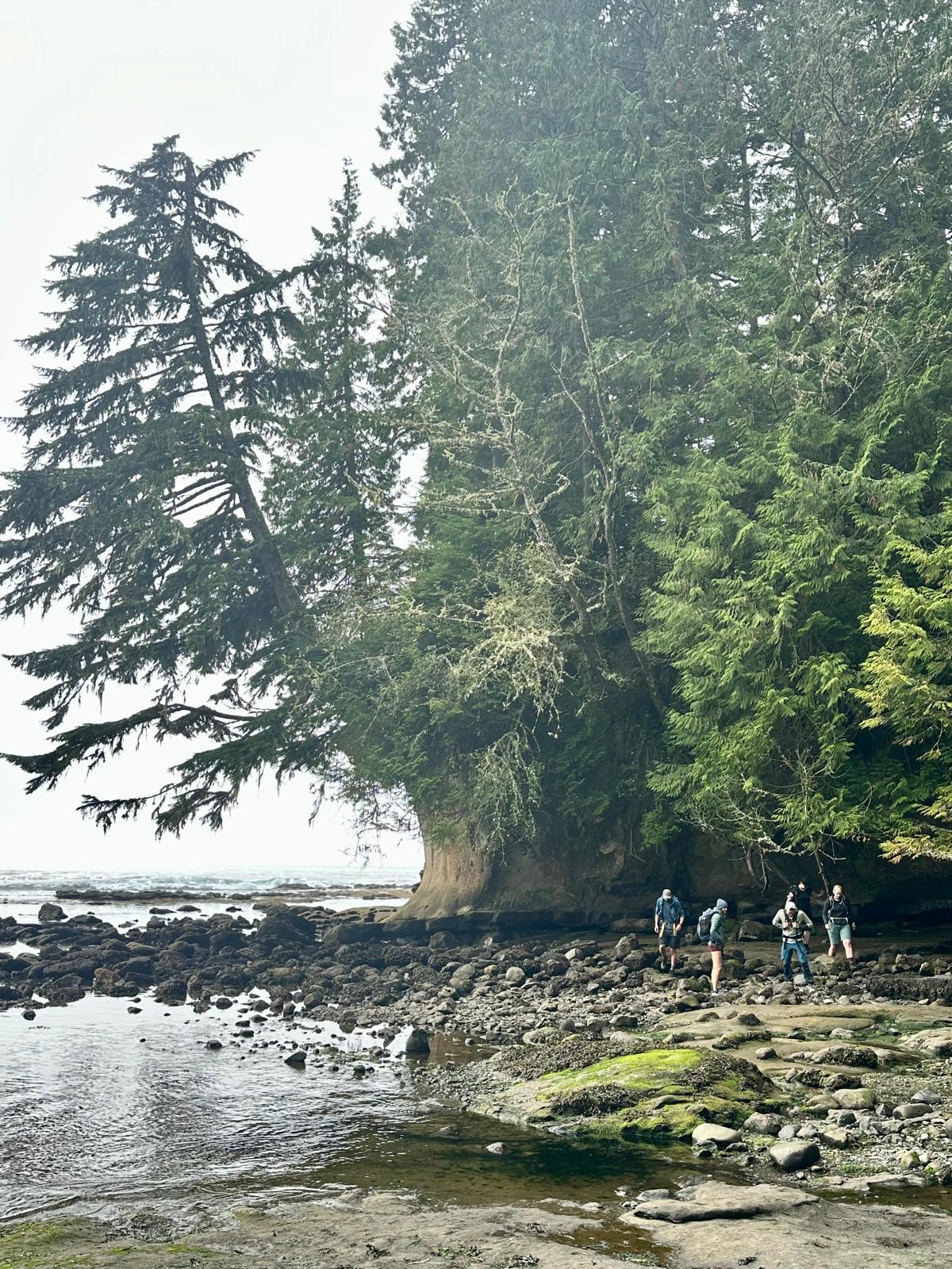 walking the pacific shores of Vancouver Island