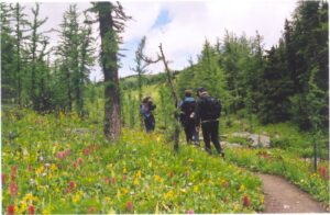 hiking tour in western Canada, small group hiking, national park, Canada