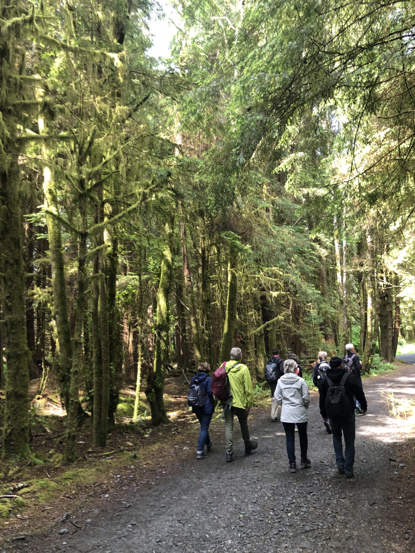hiking group during bus tour of bc west coast | wandergruppe bei busreise an der bc westküste
