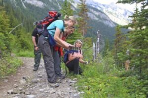 Tour operator in Canada, small group hiking